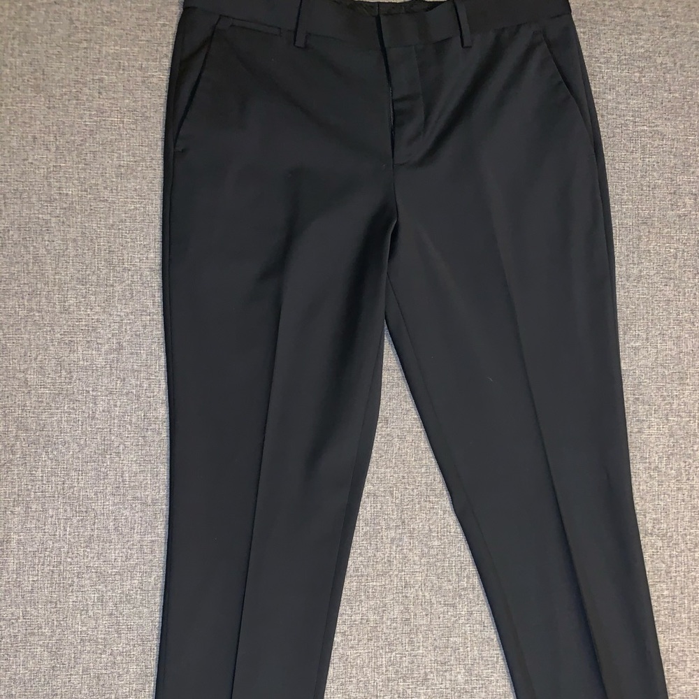 Express Dress Pant